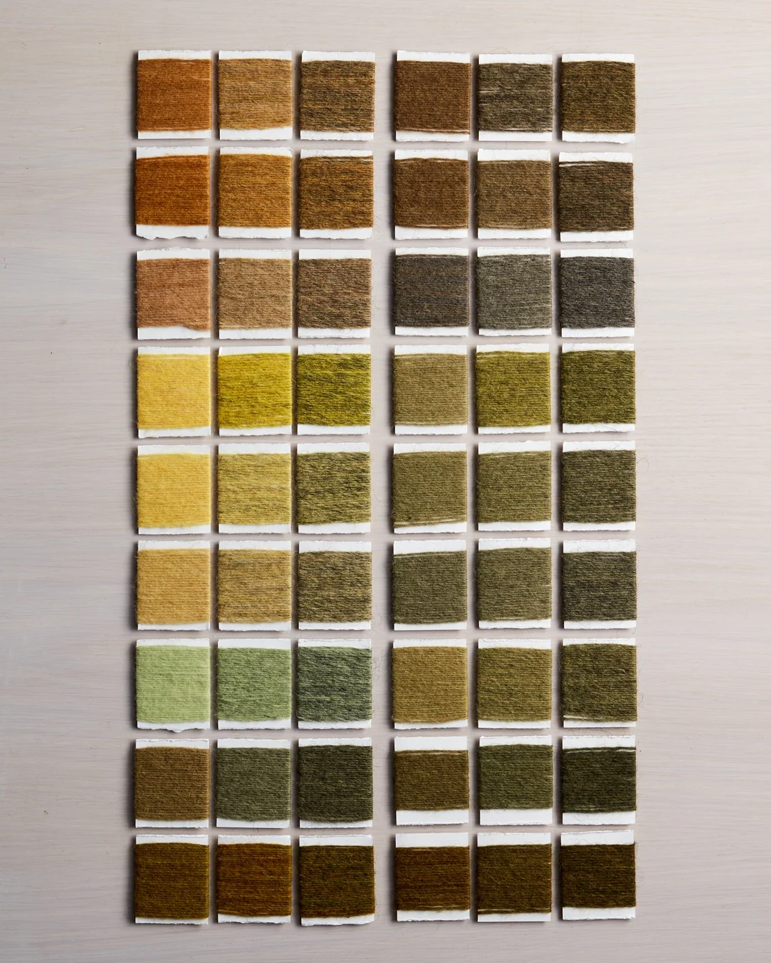Journeys in Natural Dyeing - Image 3