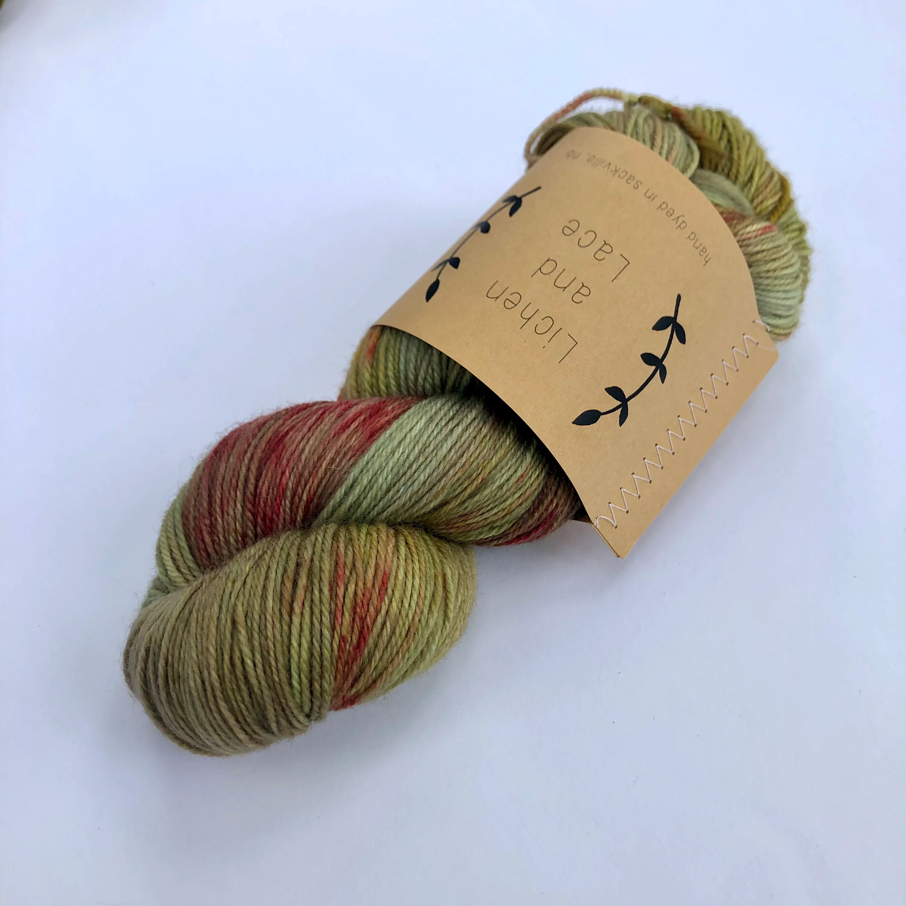 Lichen & Lace 80/20 Sock - Image 23