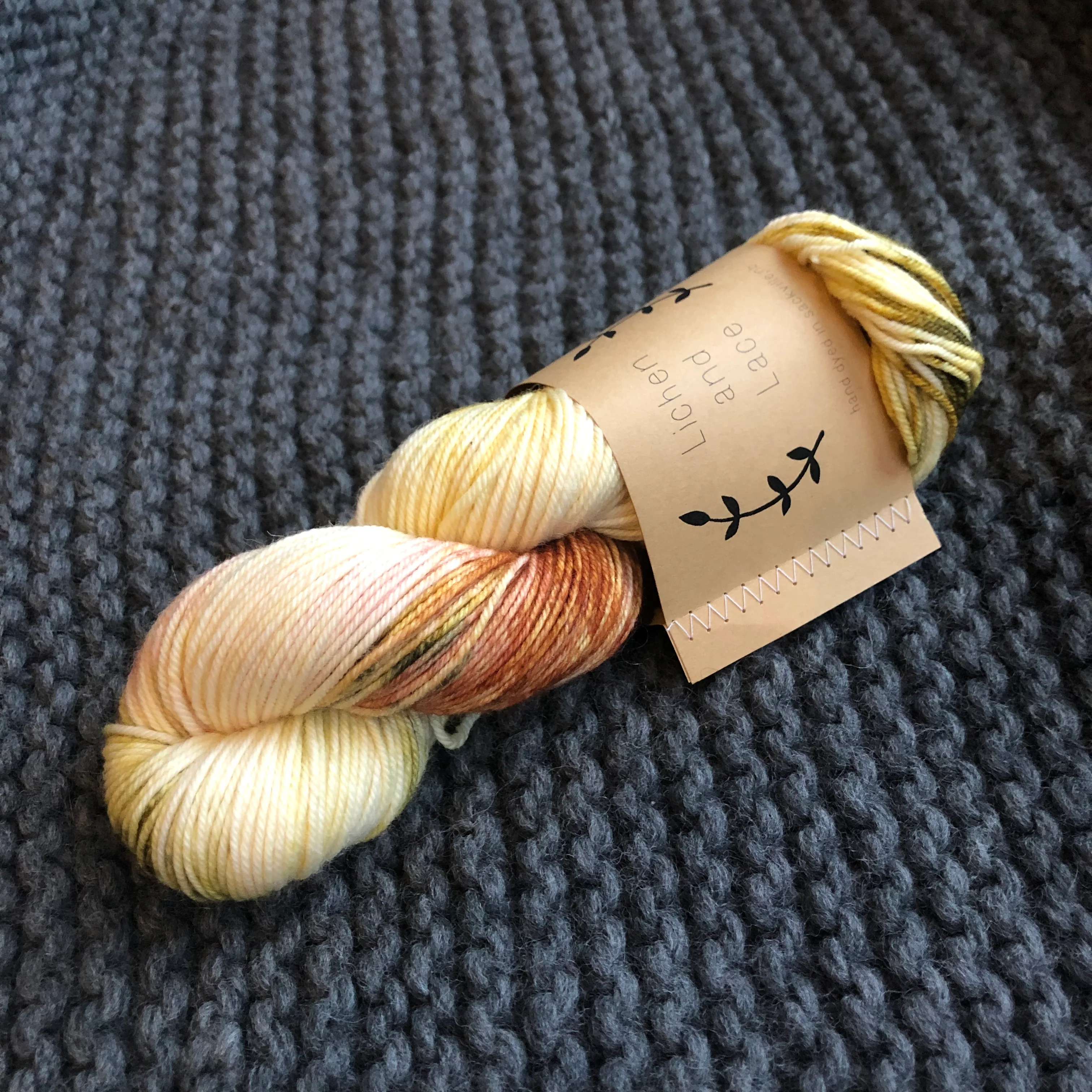 Lichen & Lace 80/20 Sock - Image 36