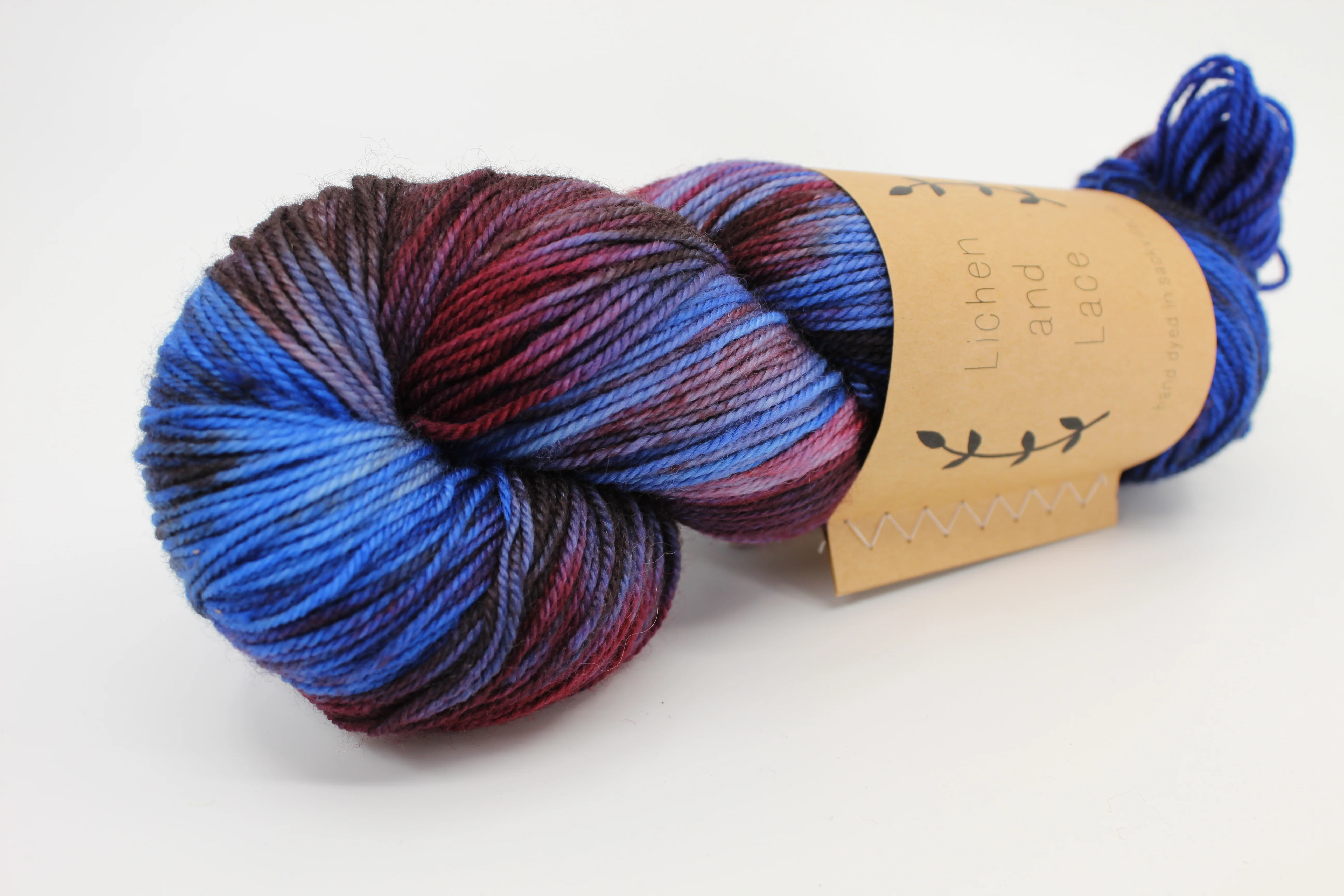 Lichen & Lace 80/20 Sock - Image 4