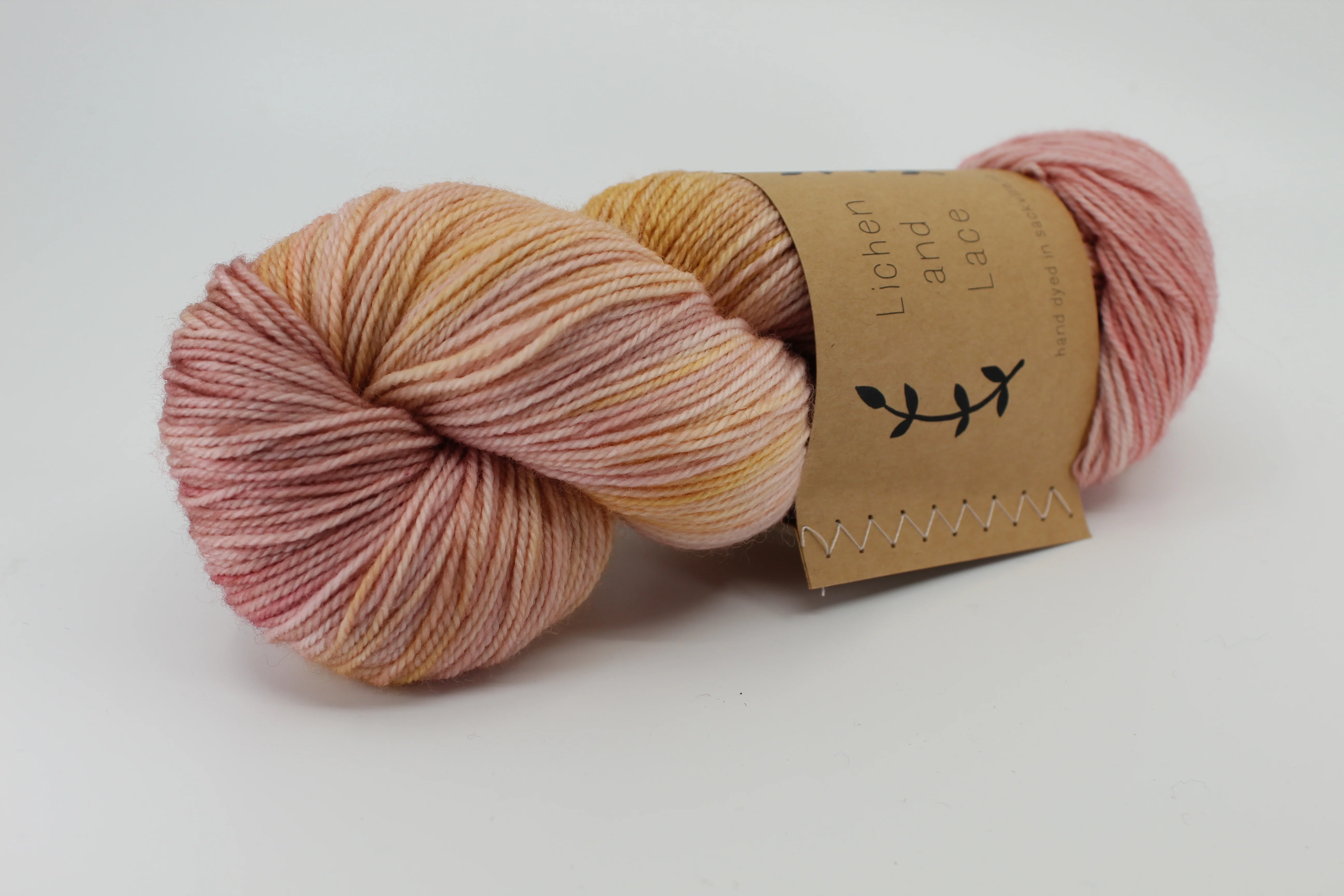 Lichen & Lace 80/20 Sock - Image 7