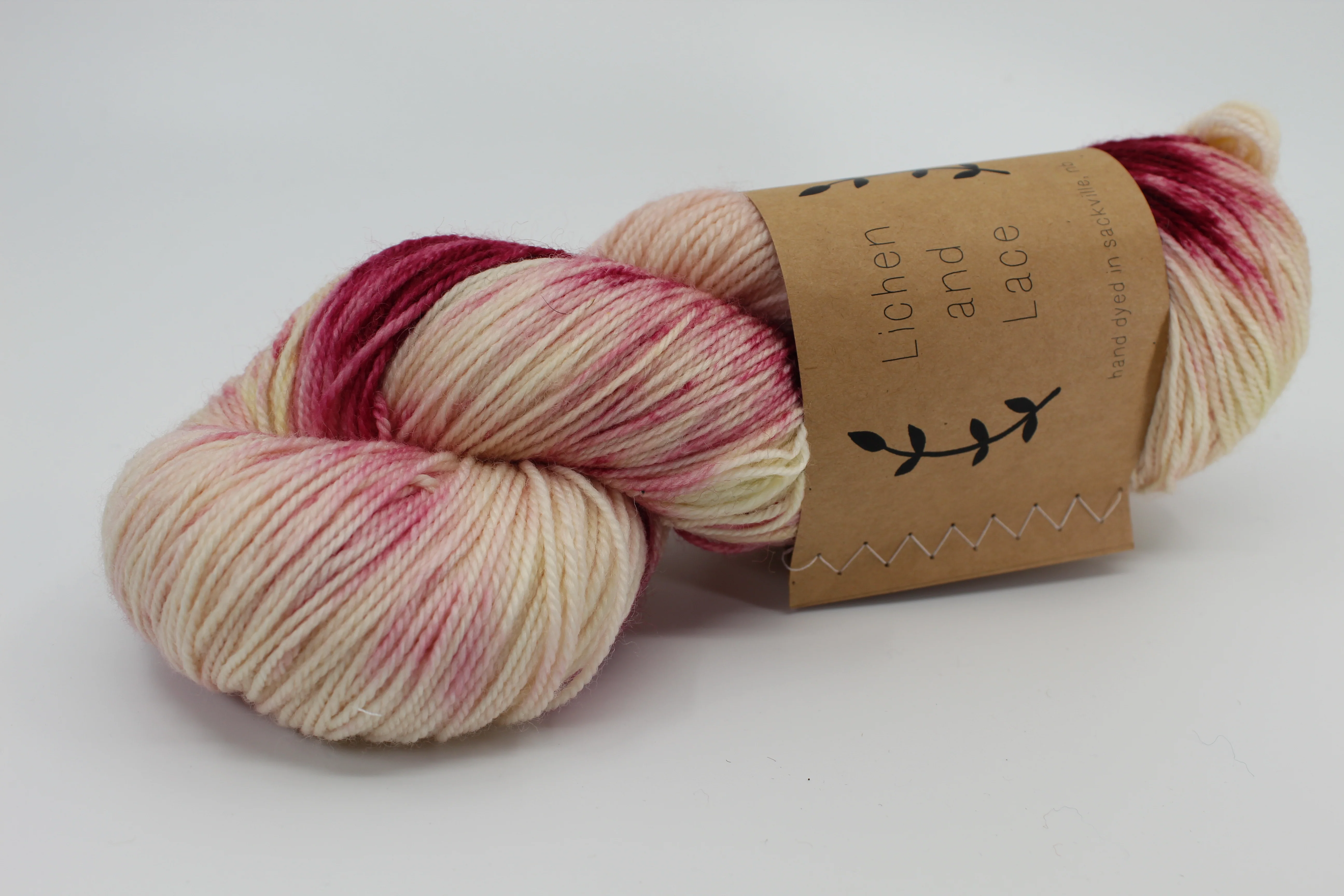 Lichen & Lace 80/20 Sock - Image 8