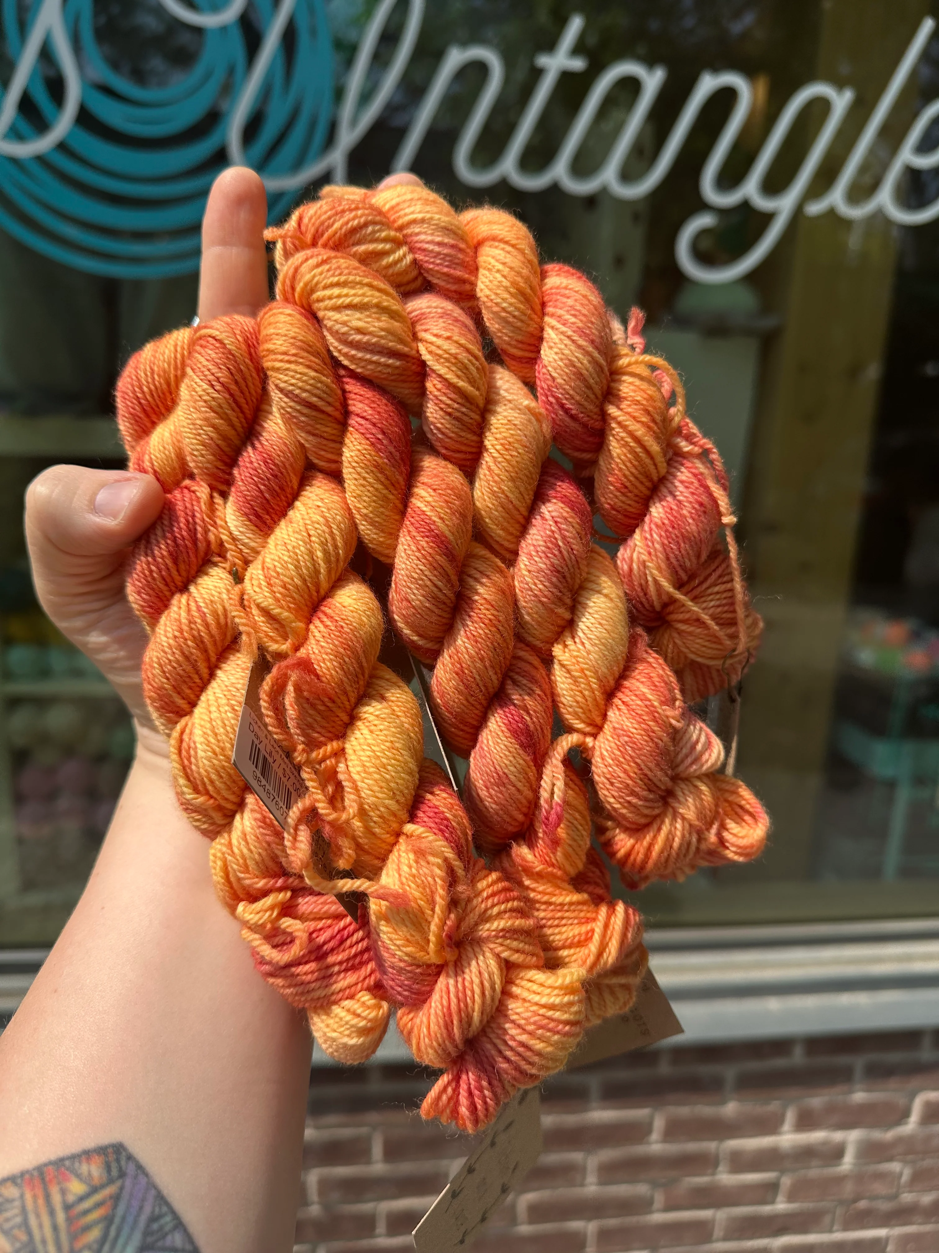 Lichen & Lace Mini Skeins - Image 34