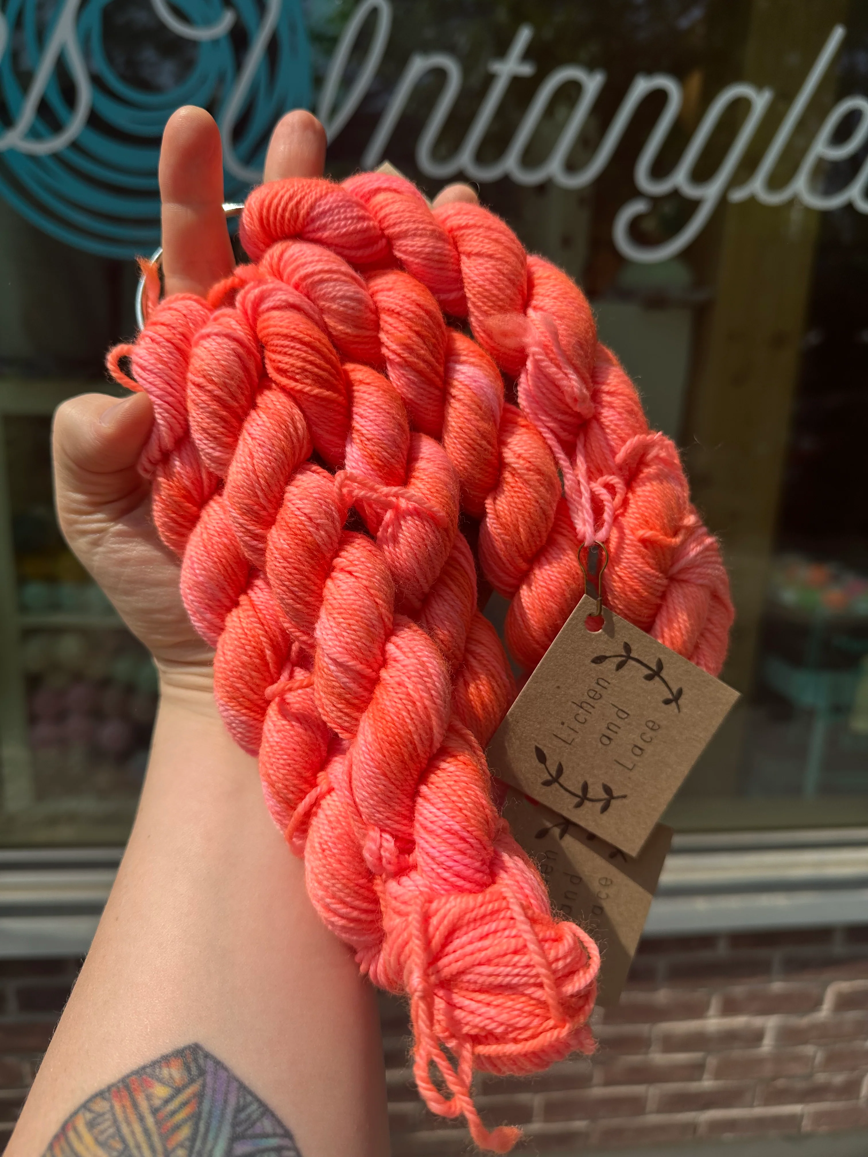 Lichen & Lace Mini Skeins - Image 37