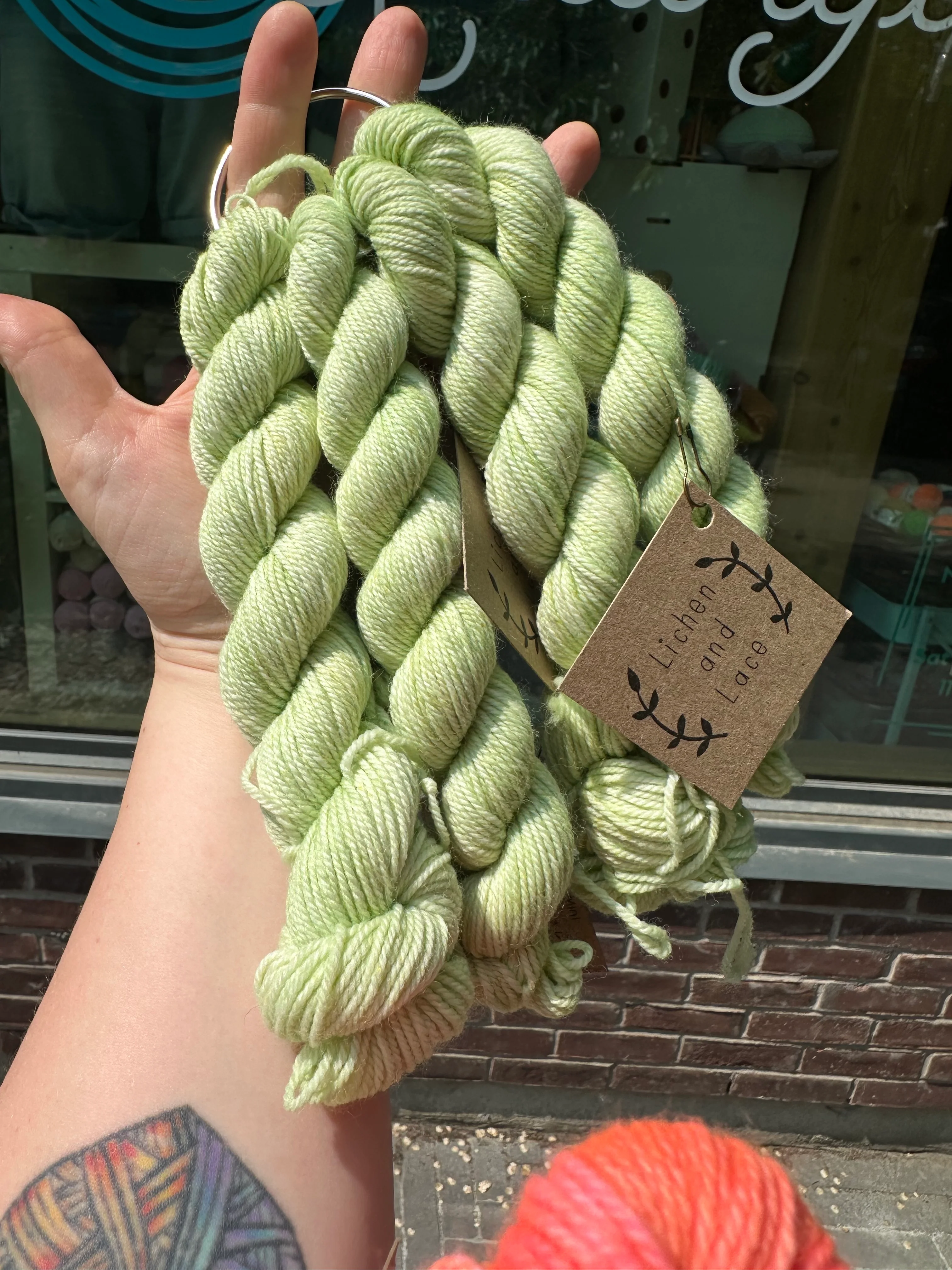 Lichen & Lace Mini Skeins - Image 38