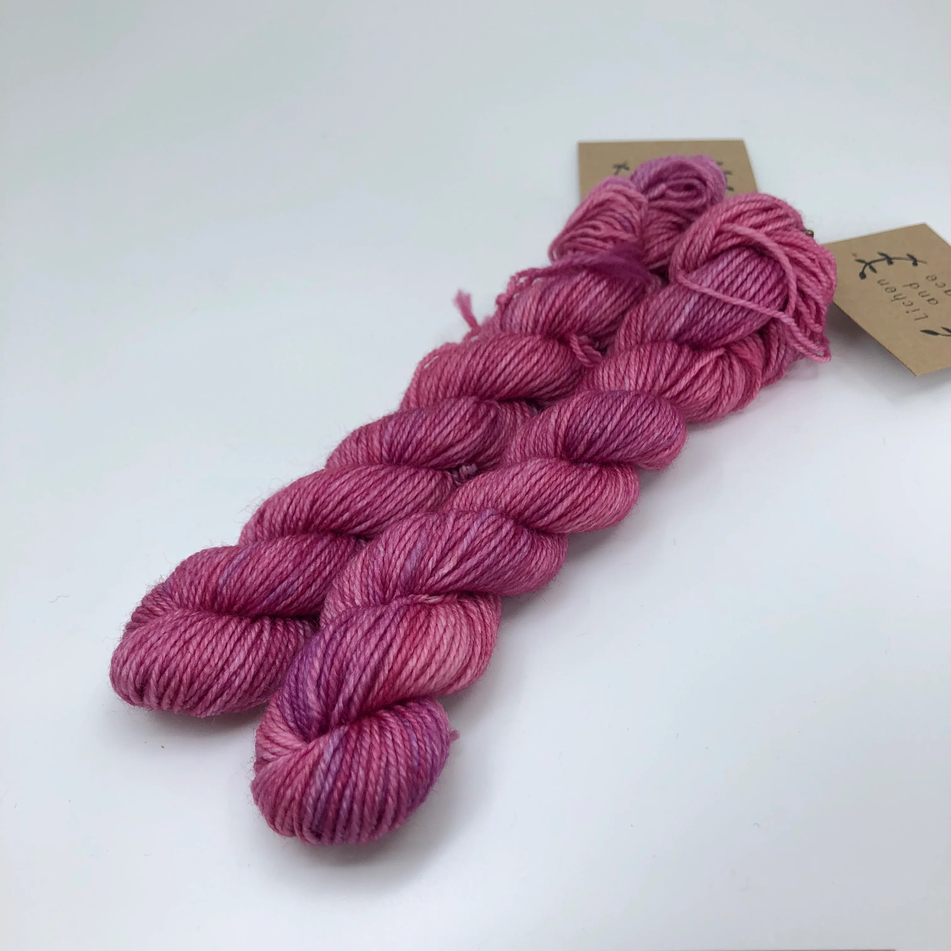 Lichen & Lace Mini Skeins - Image 4