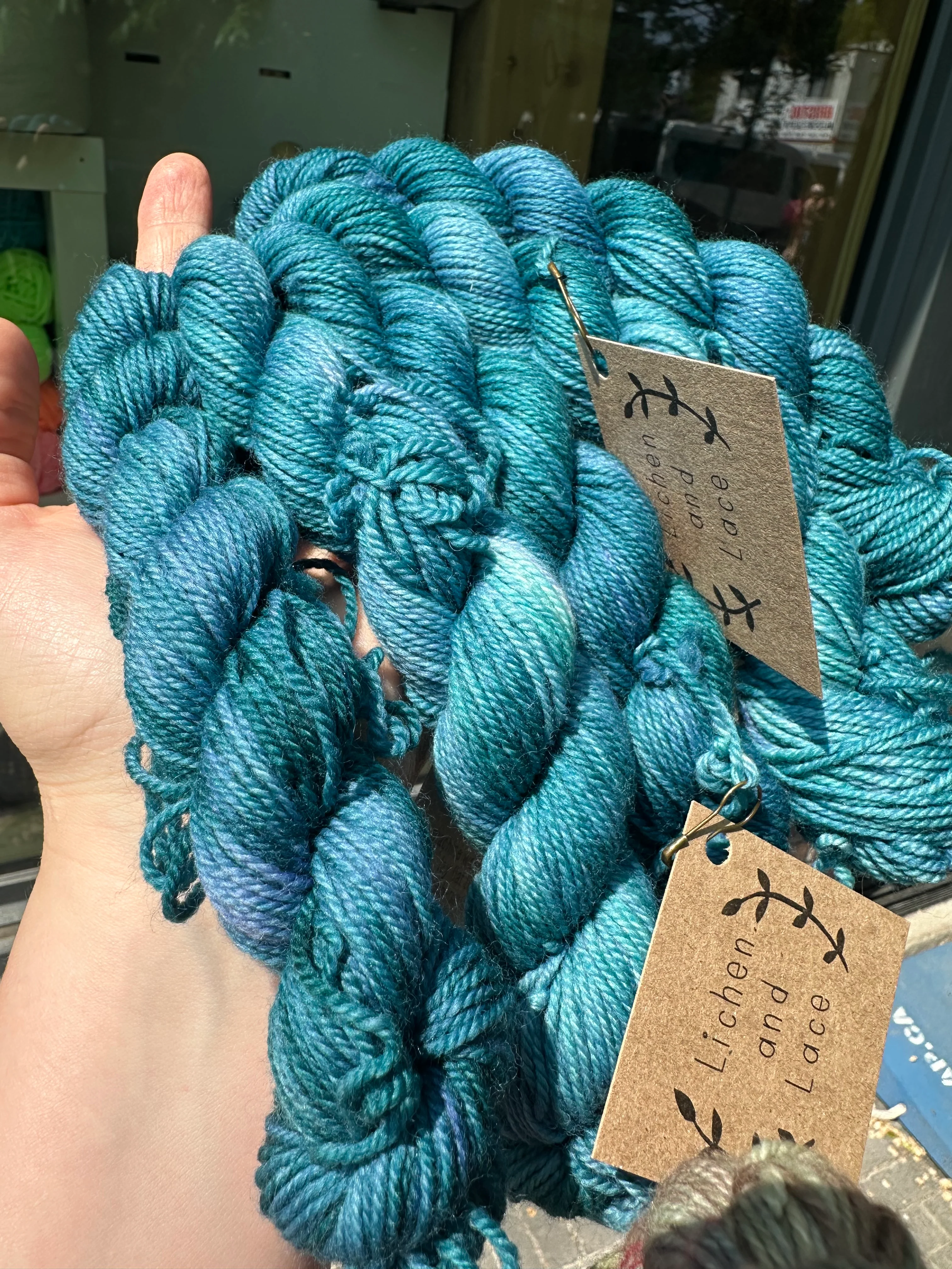 Lichen & Lace Mini Skeins - Image 40