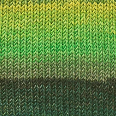 Lang Merino 120 Dégradé - Image 8