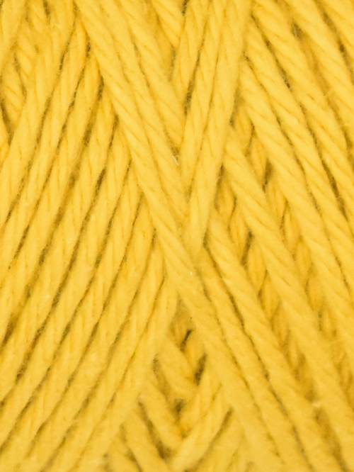 Queensland Coastal Cotton - Image 14