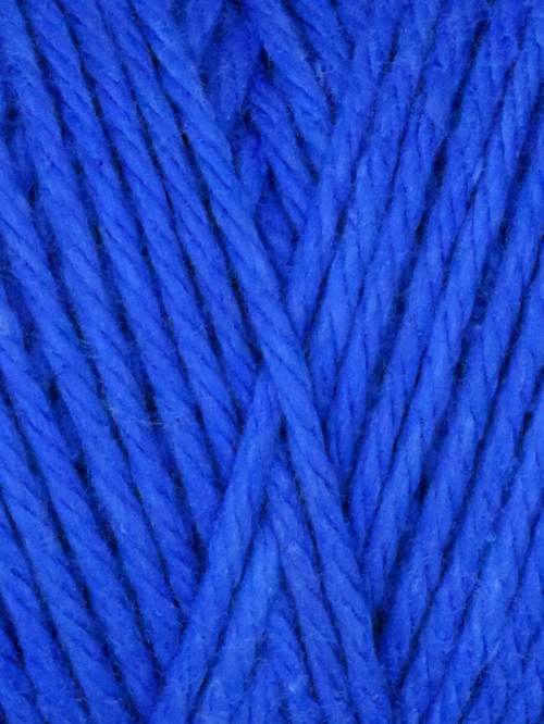 Queensland Coastal Cotton - Image 22