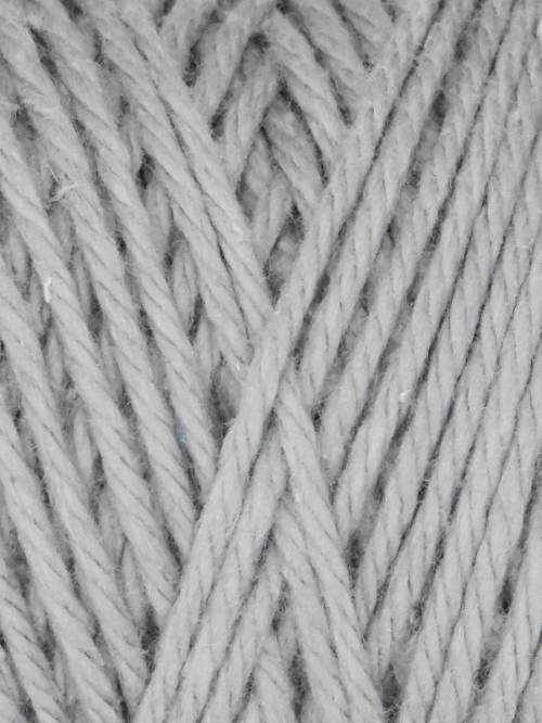 Queensland Coastal Cotton - Image 3