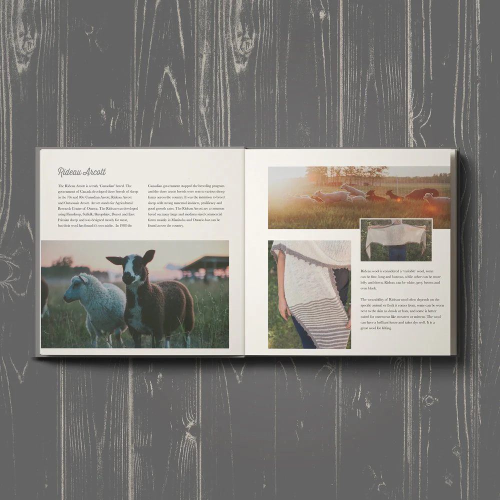 Sheep, Shepherd & Land - Image 4