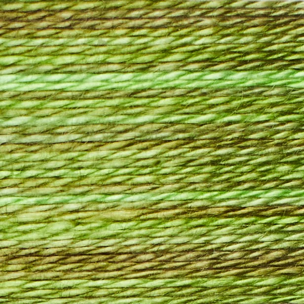 Trailhead Acorn Embroidery Threads - Image 37